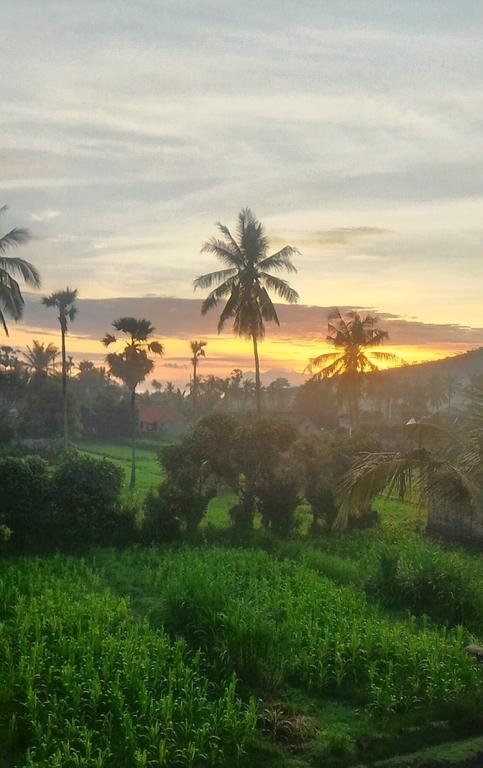 Bali Blue Gecko Villas Amed Buitenkant foto